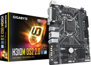 H310M DS2 2.0 (Rev. 1.0)